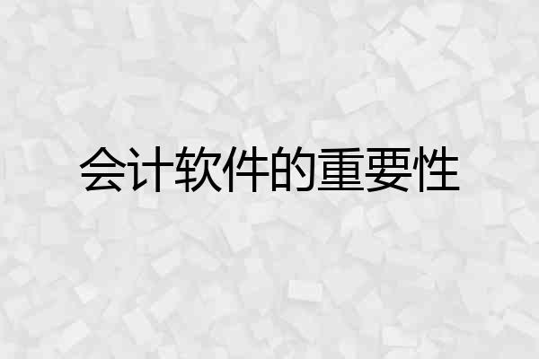 会计软件的重要性