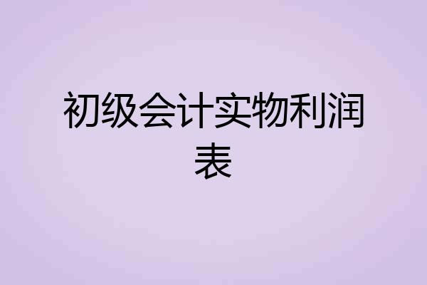 初级会计实物利润表