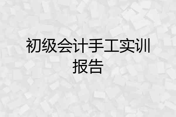 初级会计手工实训报告
