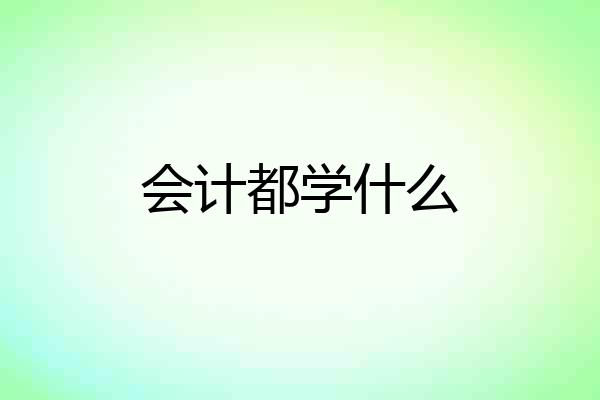会计都学什么