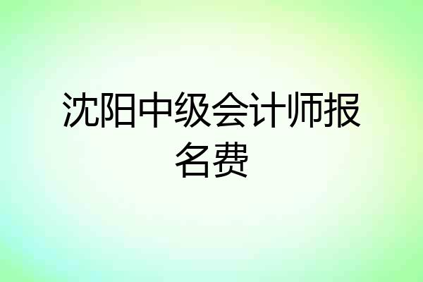 沈阳中级会计师报名费