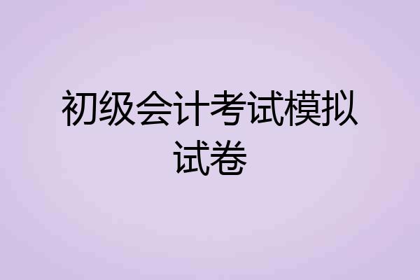 初级会计考试模拟试卷