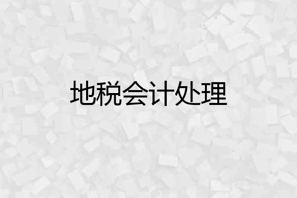 地税会计处理