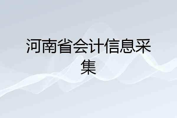 河南省会计信息采集