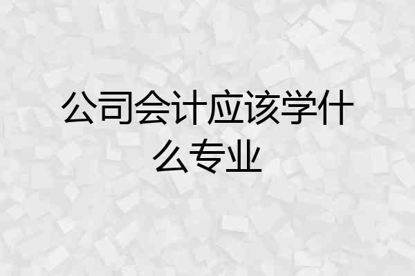 公司会计应该学什么专业