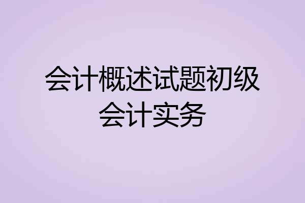 会计概述试题初级会计实务