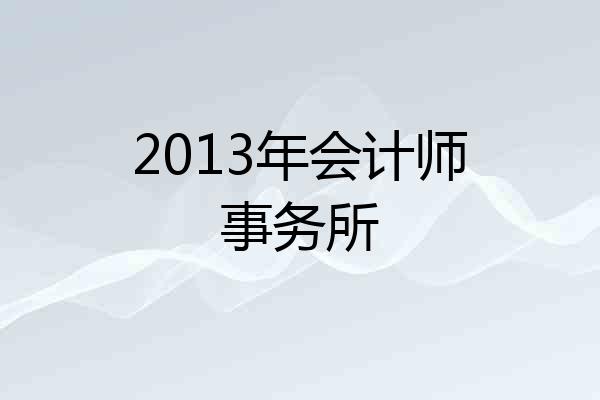 2013年会计师事务所