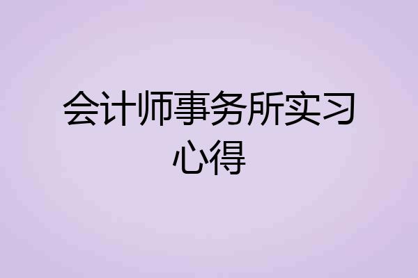会计师事务所实习心得