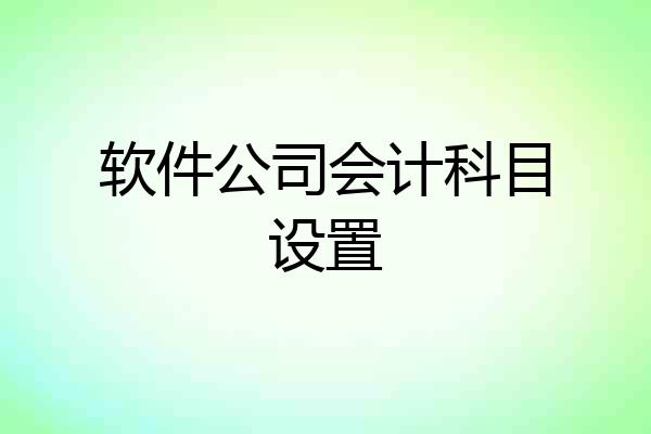 软件公司会计科目设置