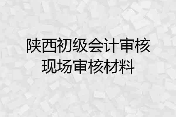 陕西初级会计审核现场审核材料