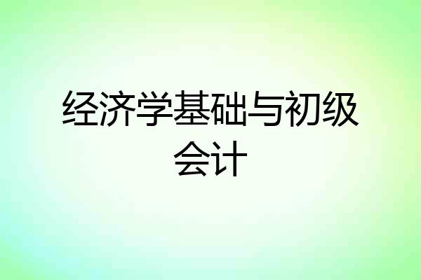 经济学基础与初级会计