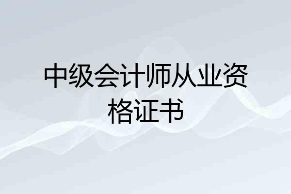 中级会计师从业资格证书