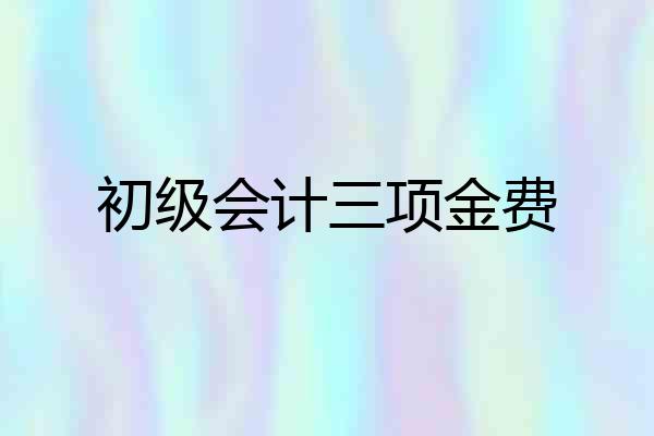 初级会计三项金费