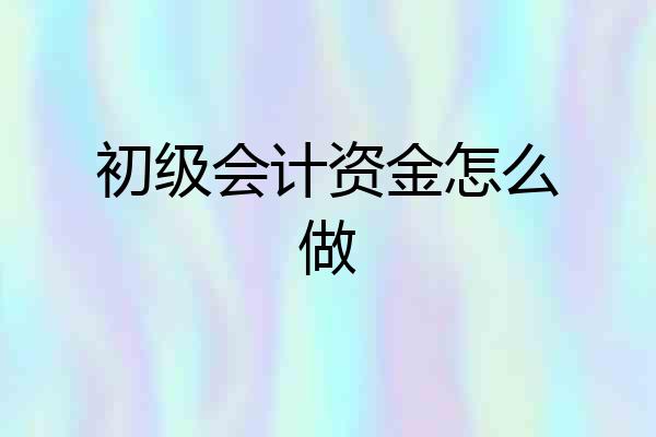 初级会计资金怎么做