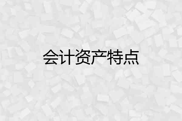 会计资产特点