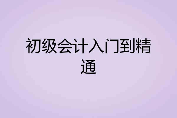 初级会计入门到精通