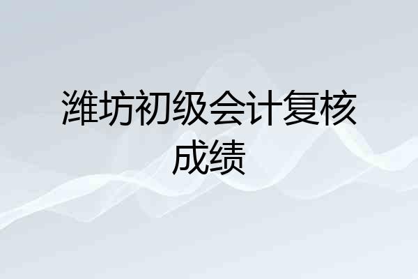 潍坊初级会计复核成绩