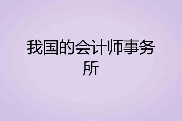 我国的会计师事务所