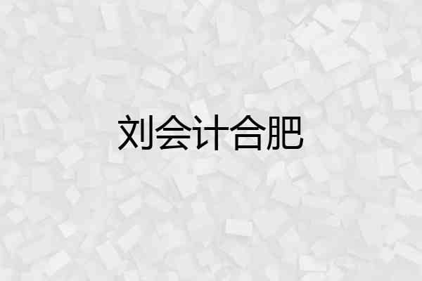 刘会计合肥