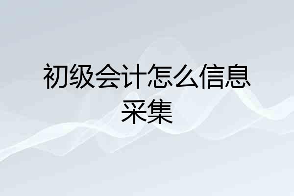 初级会计怎么信息采集