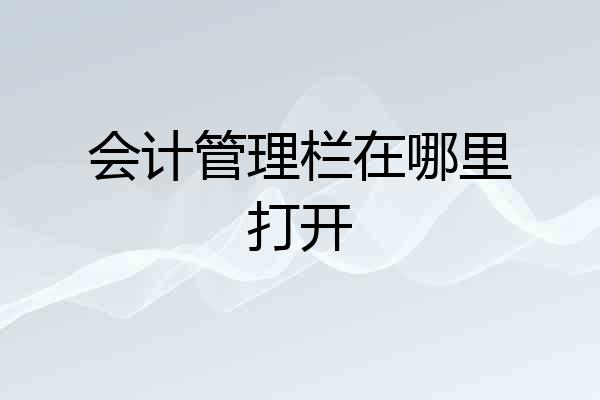 会计管理栏在哪里打开