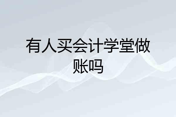 有人买会计学堂做账吗