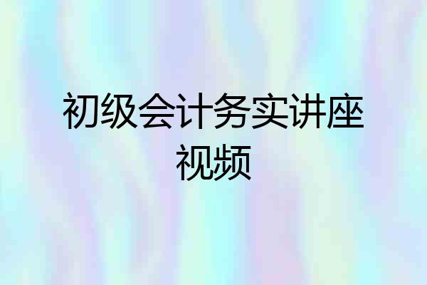 初级会计务实讲座视频