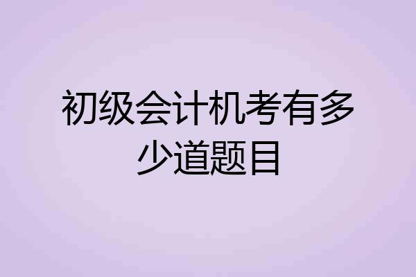 初级会计机考有多少道题目