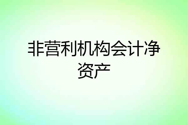 非营利机构会计净资产