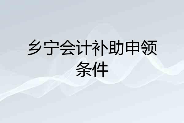 乡宁会计补助申领条件