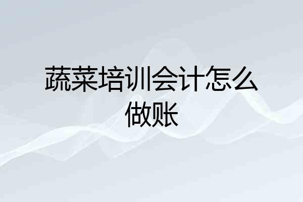 蔬菜培训会计怎么做账