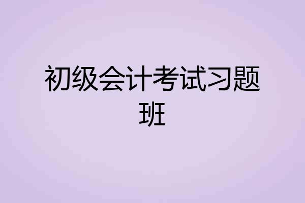 初级会计考试习题班