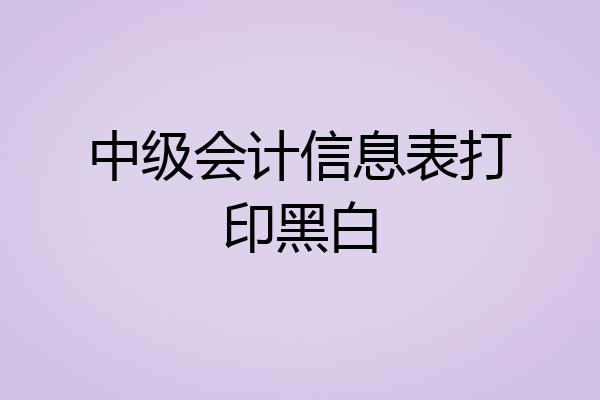 中级会计信息表打印黑白