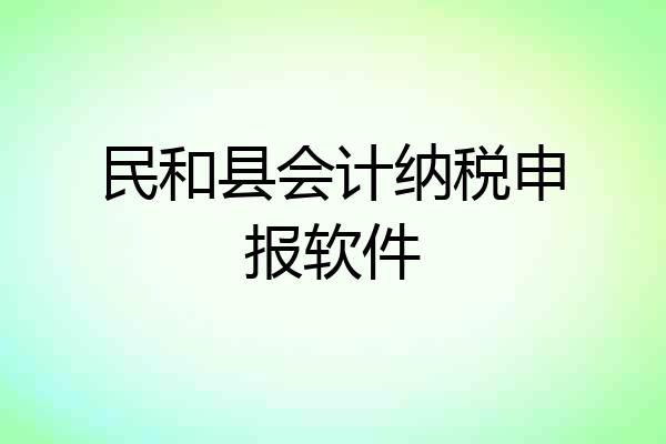 民和县会计纳税申报软件