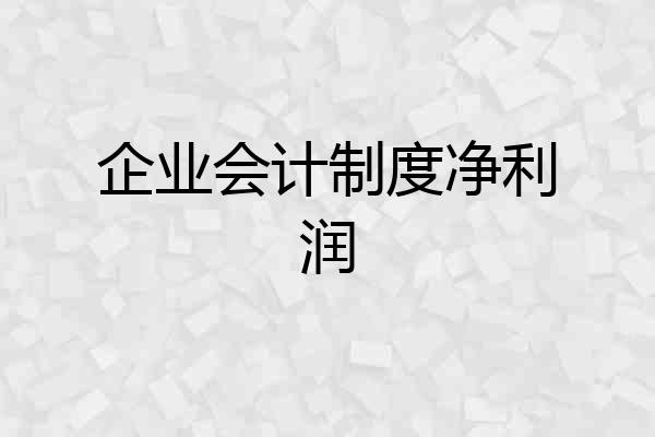 企业会计制度净利润
