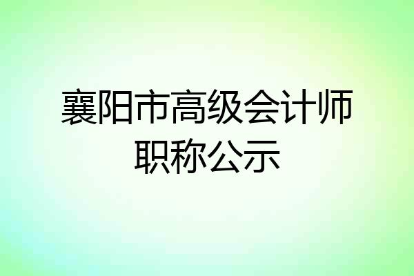 襄阳市高级会计师职称公示