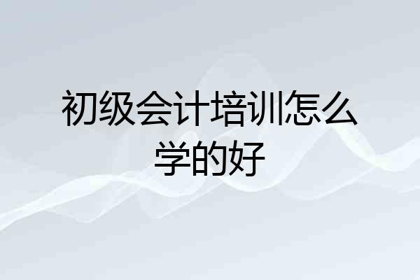 初级会计培训怎么学的好