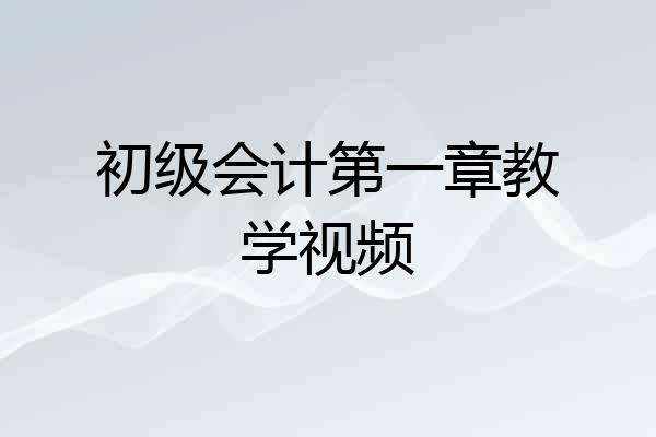 初级会计第一章教学视频