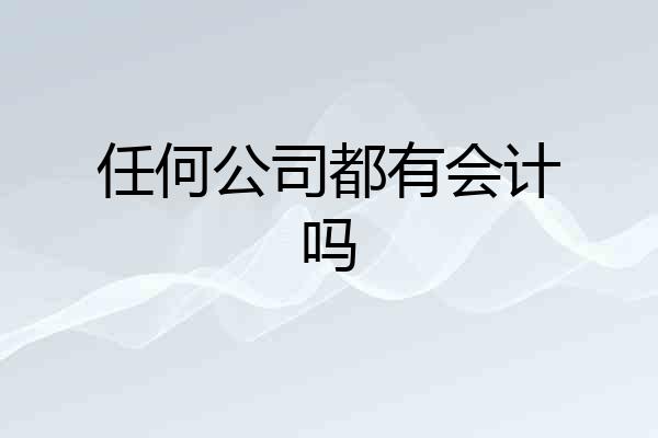 任何公司都有会计吗