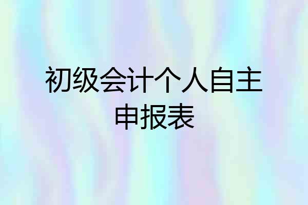 初级会计个人自主申报表