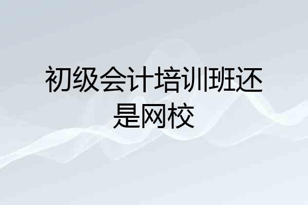 初级会计培训班还是网校