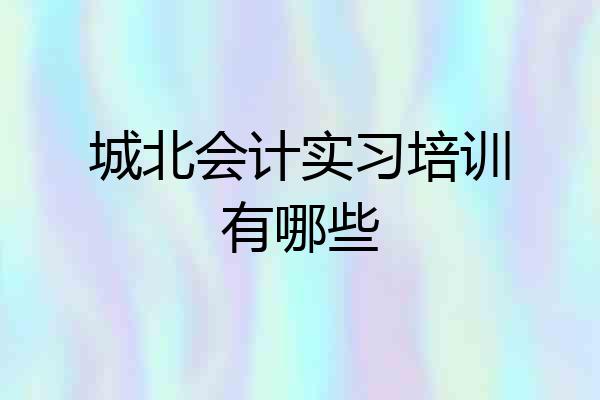 城北会计实习培训有哪些