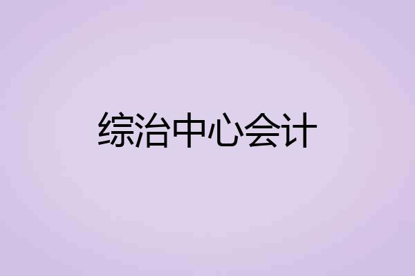 综治中心会计