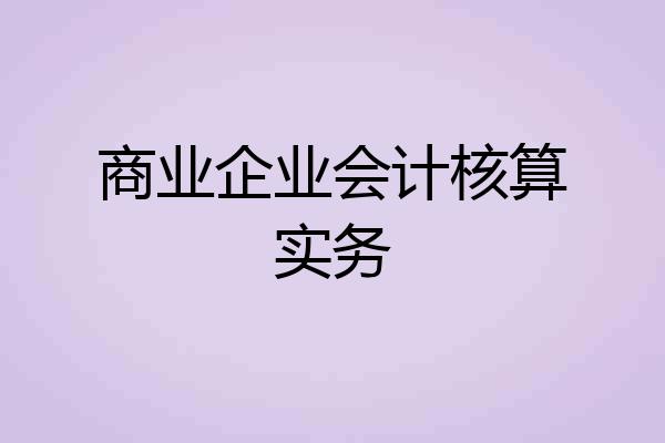 商业企业会计核算实务