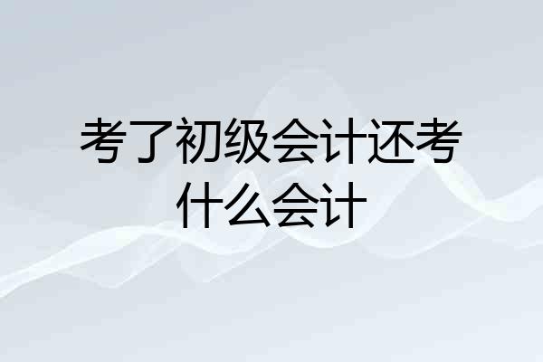 考了初级会计还考什么会计