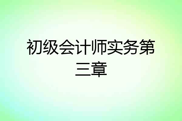 初级会计师实务第三章