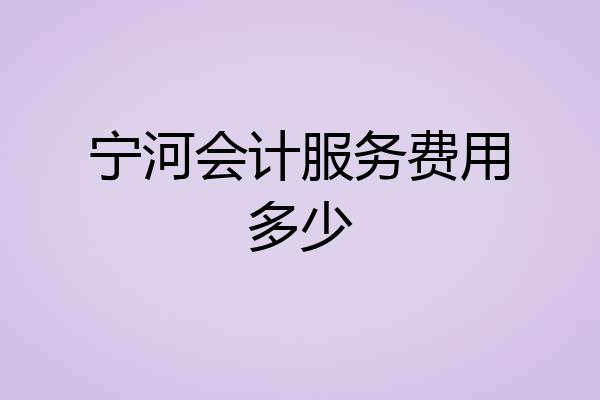 宁河会计服务费用多少