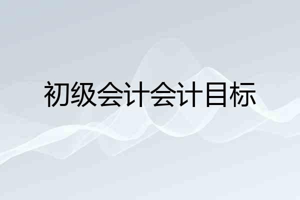 初级会计会计目标