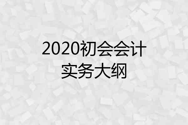 2020初会会计实务大纲