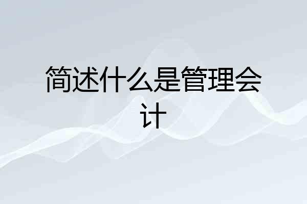 简述什么是管理会计